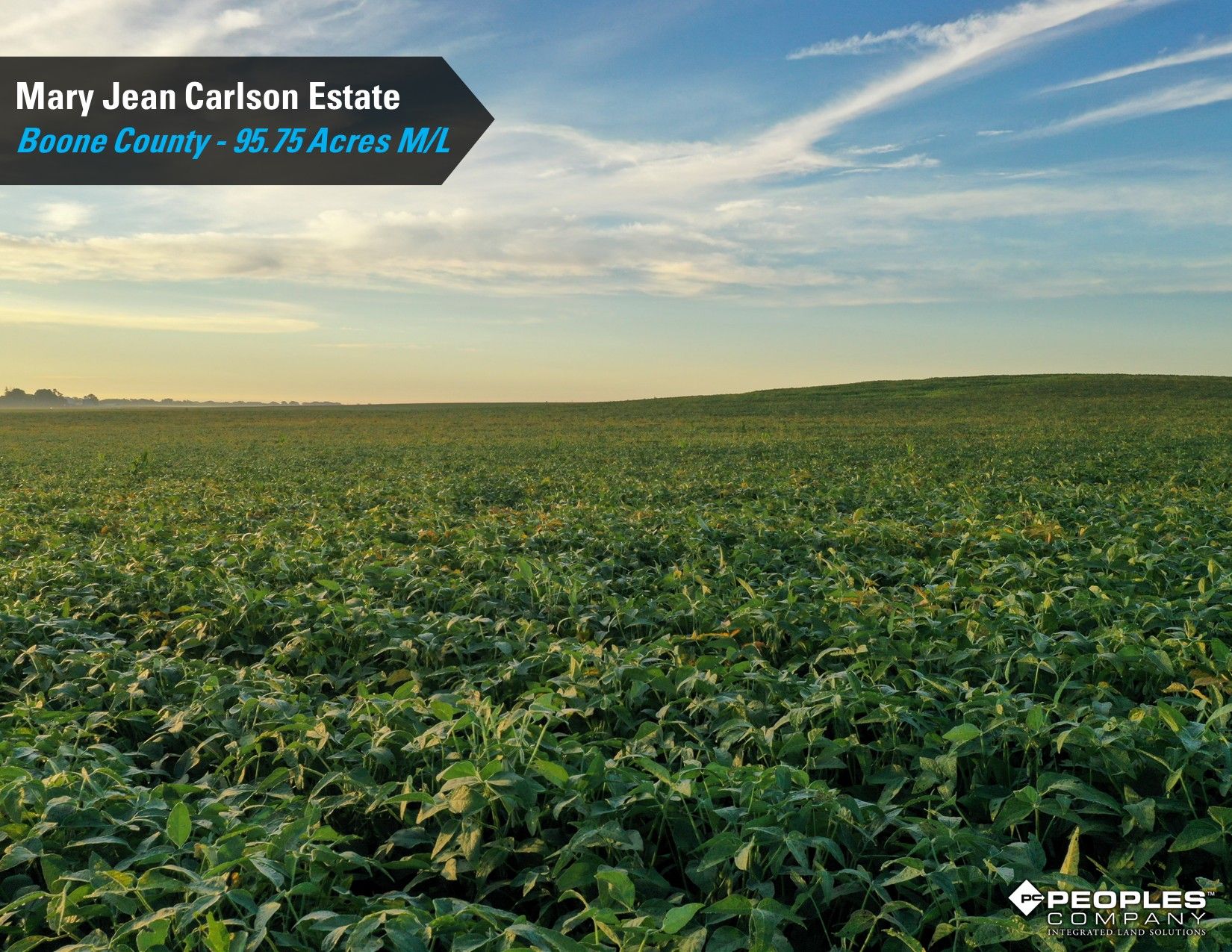 Listing Photo: Boone-County-IA-Land-Auction-95.75-Acres-Ogden-Carlson-Estate (10)